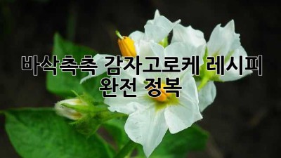바삭촉촉 감자고로케 레시피 완전 정복!