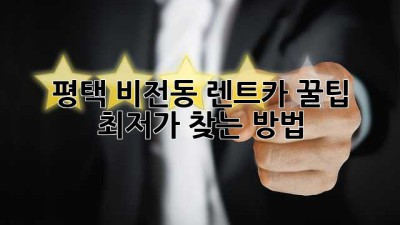 평택 비전동 렌트카 꿀팁🍯 최저가 찾는 방법!