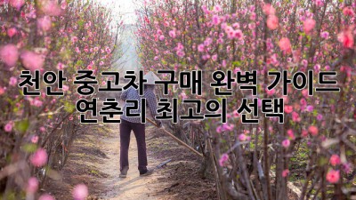 천안 중고차 구매 완벽 가이드: 연춘리 최고의 선택